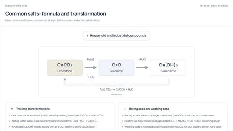 Common salts: formula and transformation — visual revision preview