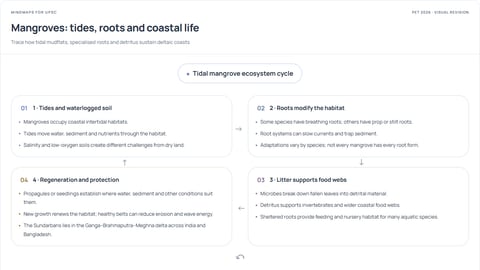 Mangroves: tides, roots and coastal life — visual revision preview